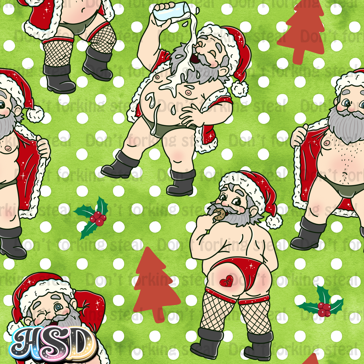 Santa’s Secret Package