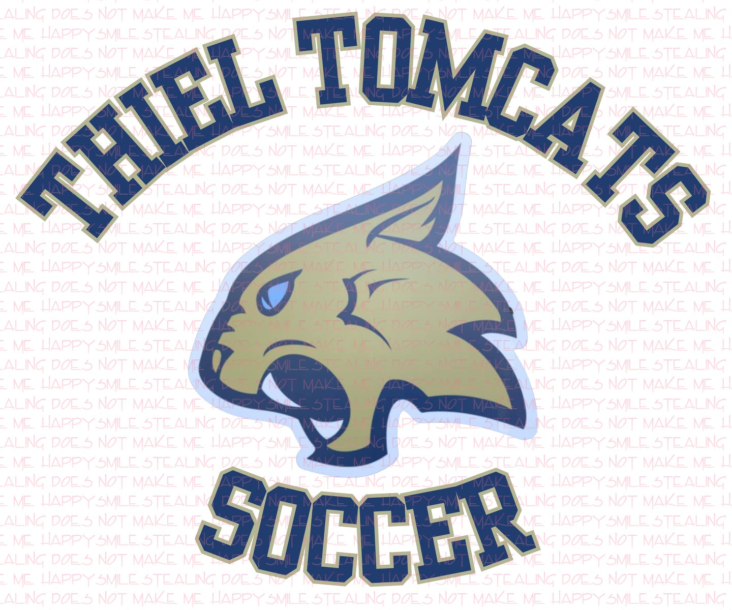 Tomcat custom