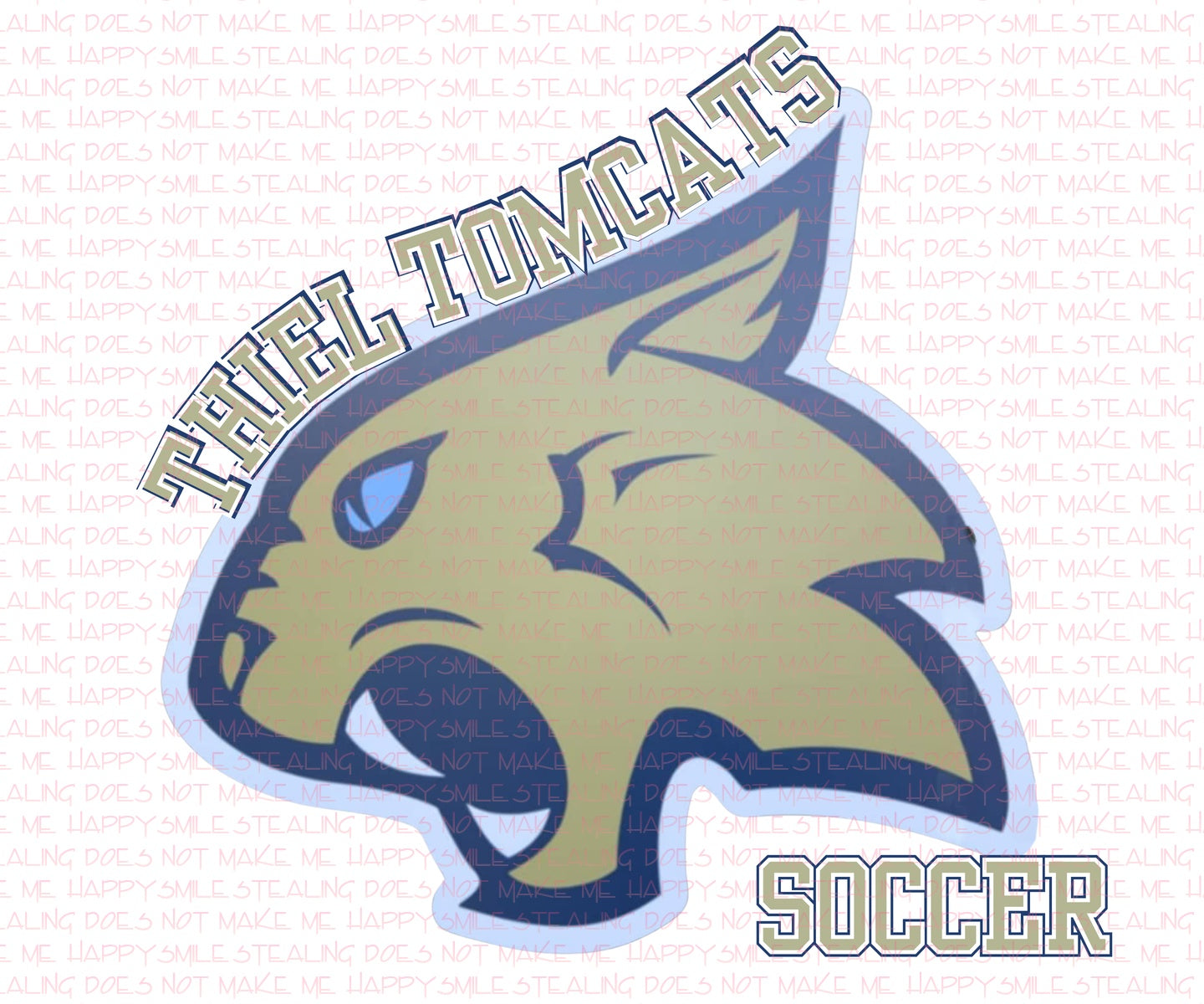 Tomcat custom