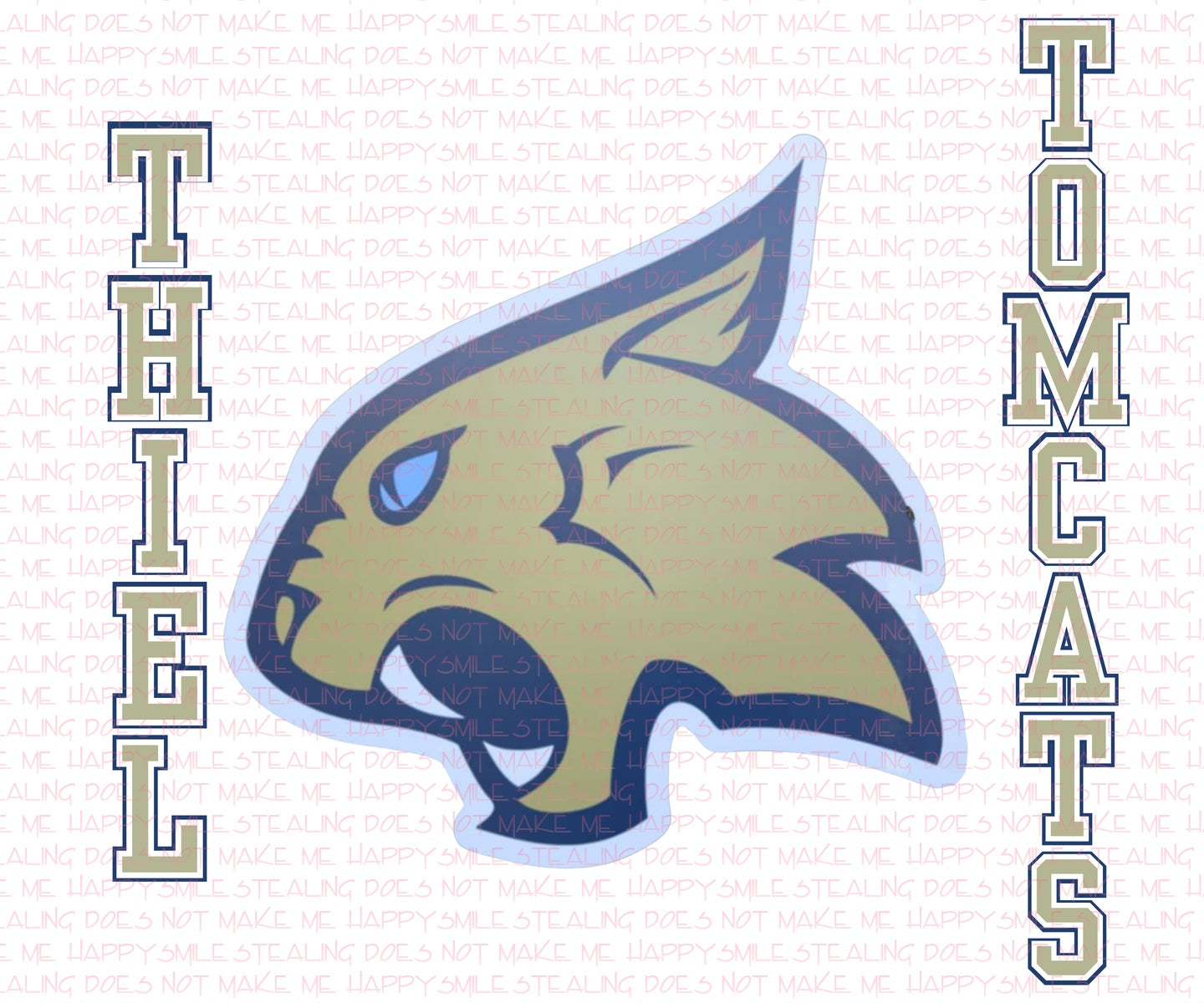 Tomcat custom