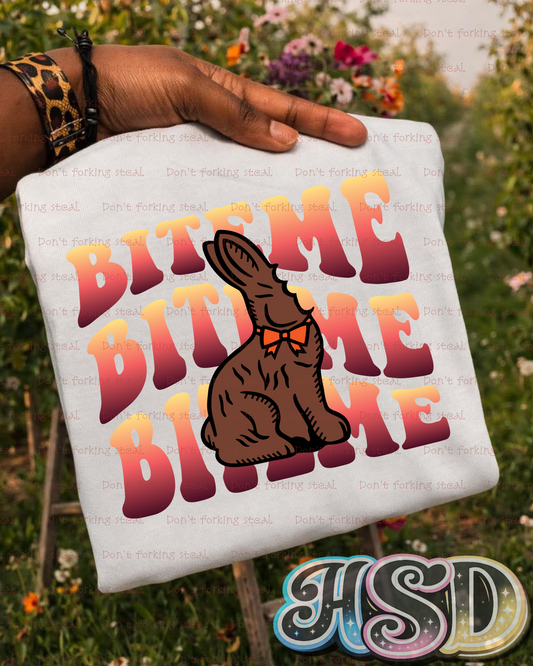 Choco Bunny PNGS (Variants)