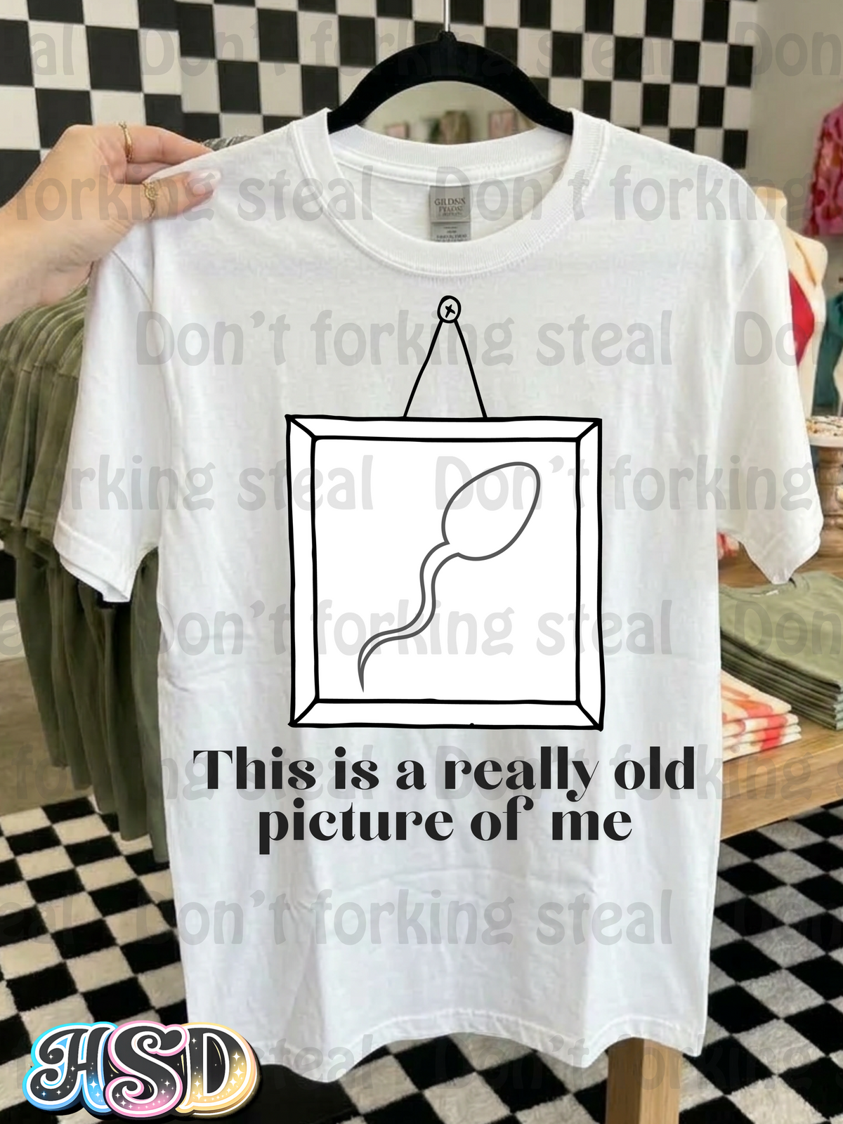 Old Picture PNG