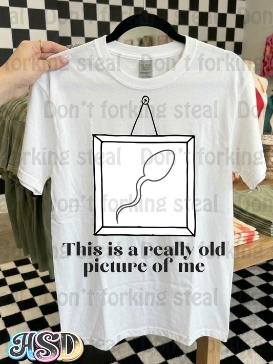 Old Picture PNG