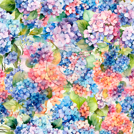 Hydrangeas