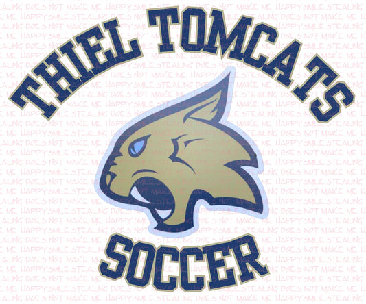 Tomcat custom